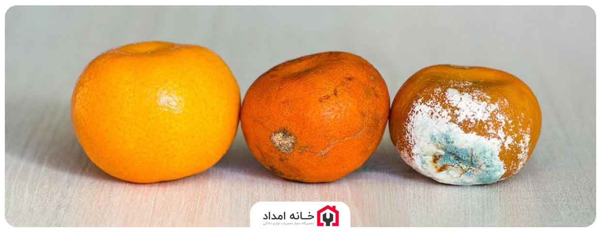 علت برفک زدن یخچال