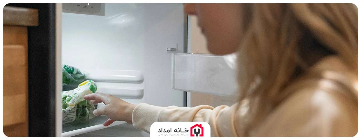 علت بوی بد یخچال